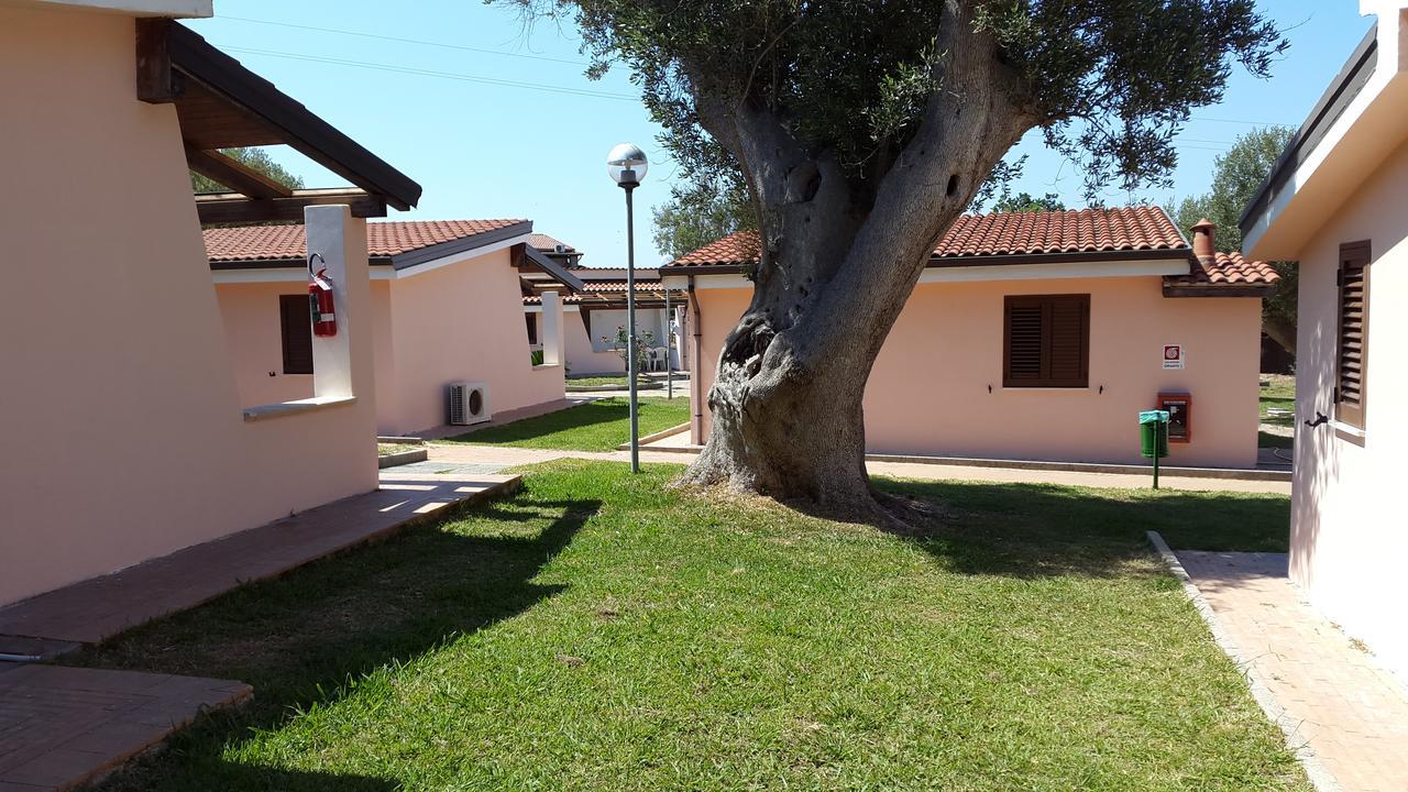 Cilento Dreams Village Marina di Camerota Eksteriør bilde